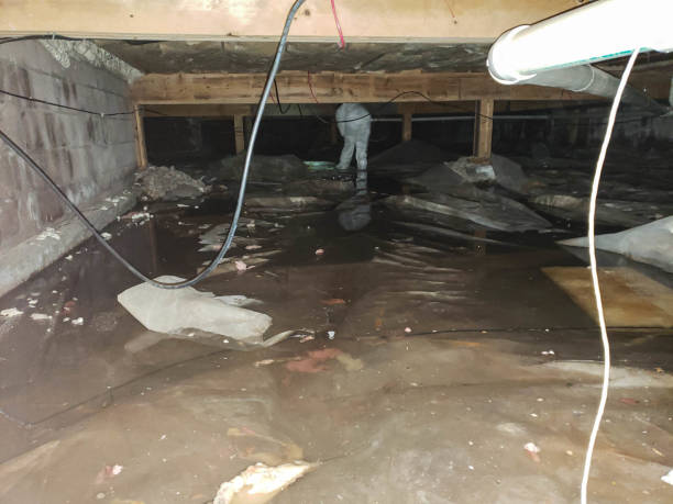 Trusted Water Damage Restoration in Urbana, IL | Fast, Reliable, and Ready to Assist You